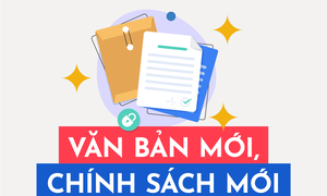 Quy định mới về viên chức Lãnh sự danh dự nước ngoài tại Việt Nam