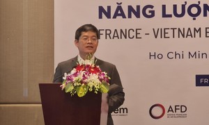 Nhu cầu điện năng của Việt Nam tăng trưởng bình quân gần 10%/năm
