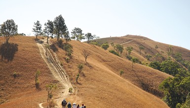 Trekking đi tìm món quà vô giá từ rừng
