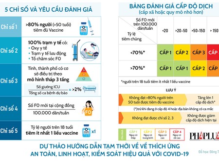 Chuyên gia góp ý các tiêu chí thích ứng an toàn với COVID-19