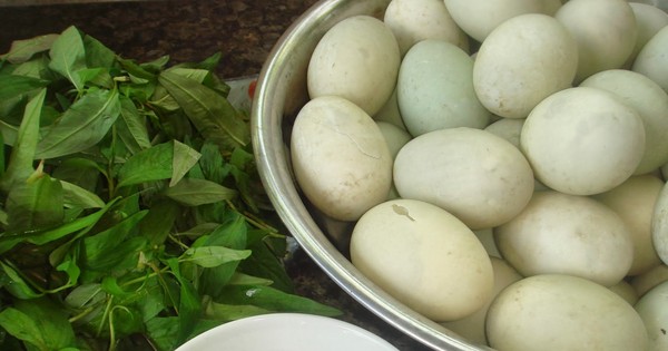 7 điều bạn nên biết khi ăn trứng vịt lộn