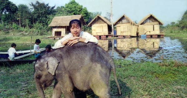 Đi tìm nữ chúa rừng xanh | Hồ sơ - Phóng sự | PLO