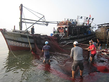 Nổ tàu cá, 8 người bị thương