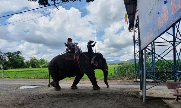 Đắk Lắk chuyển sang mô hình du lịch thân thiện với voi 