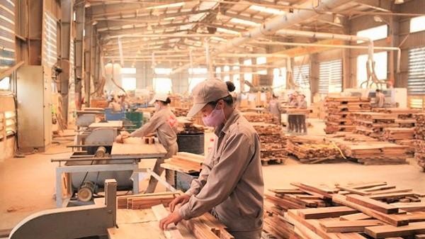 Lý do Bộ Thương mại Mỹ từ chối thư phản biện của một số công ty gỗ Việt