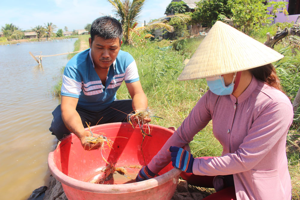 Đầu tư cho miền Tây: Cần 'nhạc trưởng' điều phối - ảnh 3