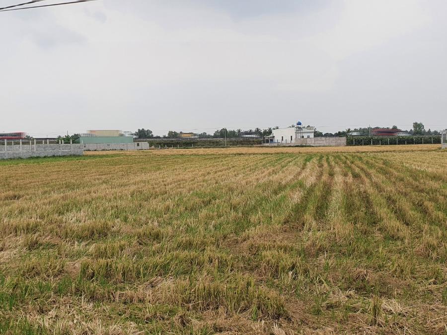 Trường hợp nào chuyển mục đích sử dụng đất mà không cần xin phép? | Tôi muốn hỏi - Vimarsana News