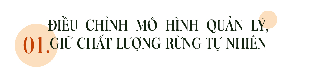 Emagazine: Chủ tịch Quảng Nam và 4 điểm nhấn phát triển - ảnh 2