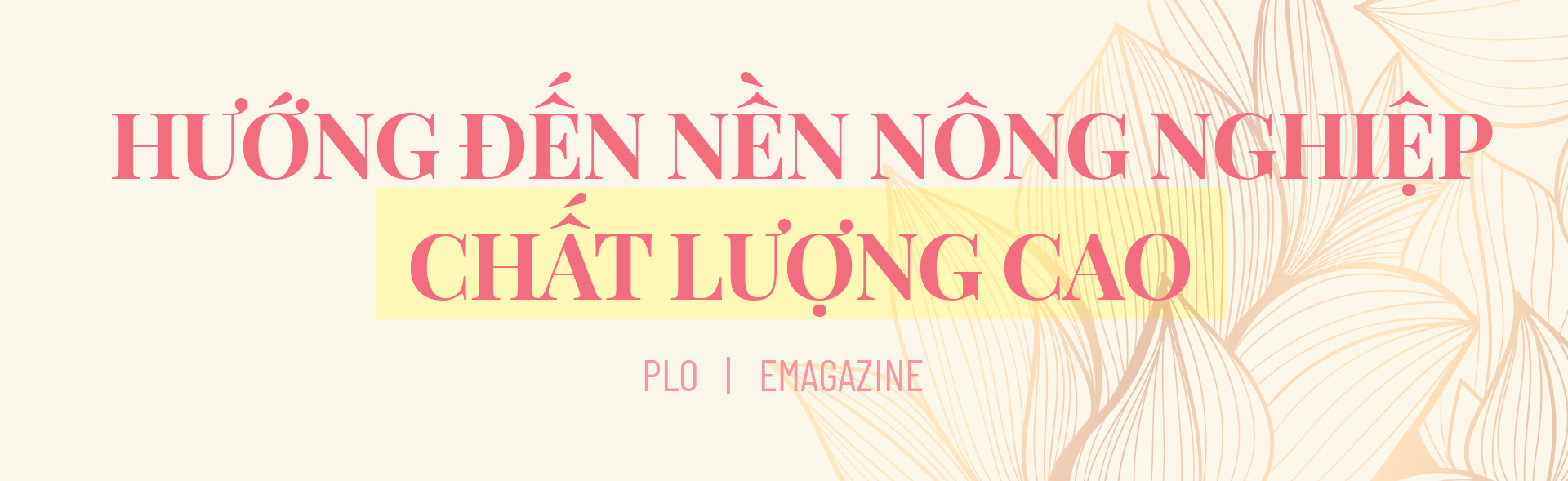 Chủ tịch UBND tỉnh Đồng Tháp: Thích ứng nhanh, nâng tầm vị thế đất Sen hồng - ảnh 5