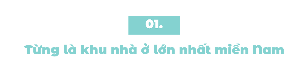 50 năm cư xá Thanh Đa: Hồi ức và ước nguyện ảnh 1