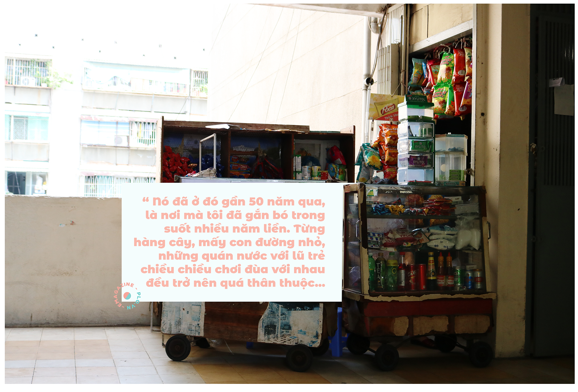 50 năm cư xá Thanh Đa: Hồi ức và ước nguyện ảnh 8
