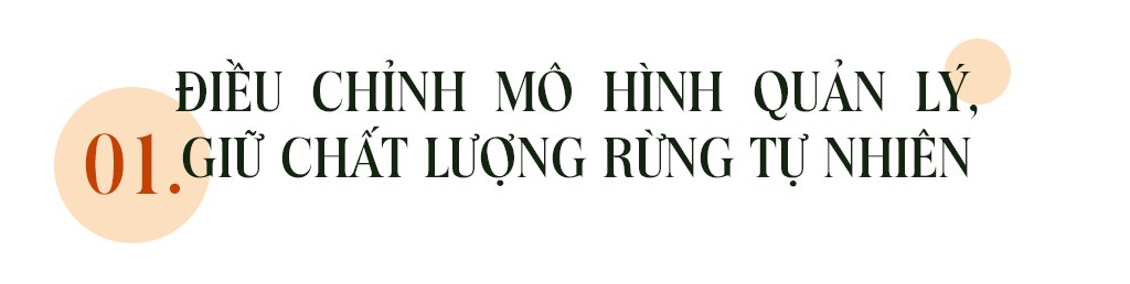 Emagazine: Chủ tịch Quảng Nam và 4 điểm nhấn phát triển ảnh 2