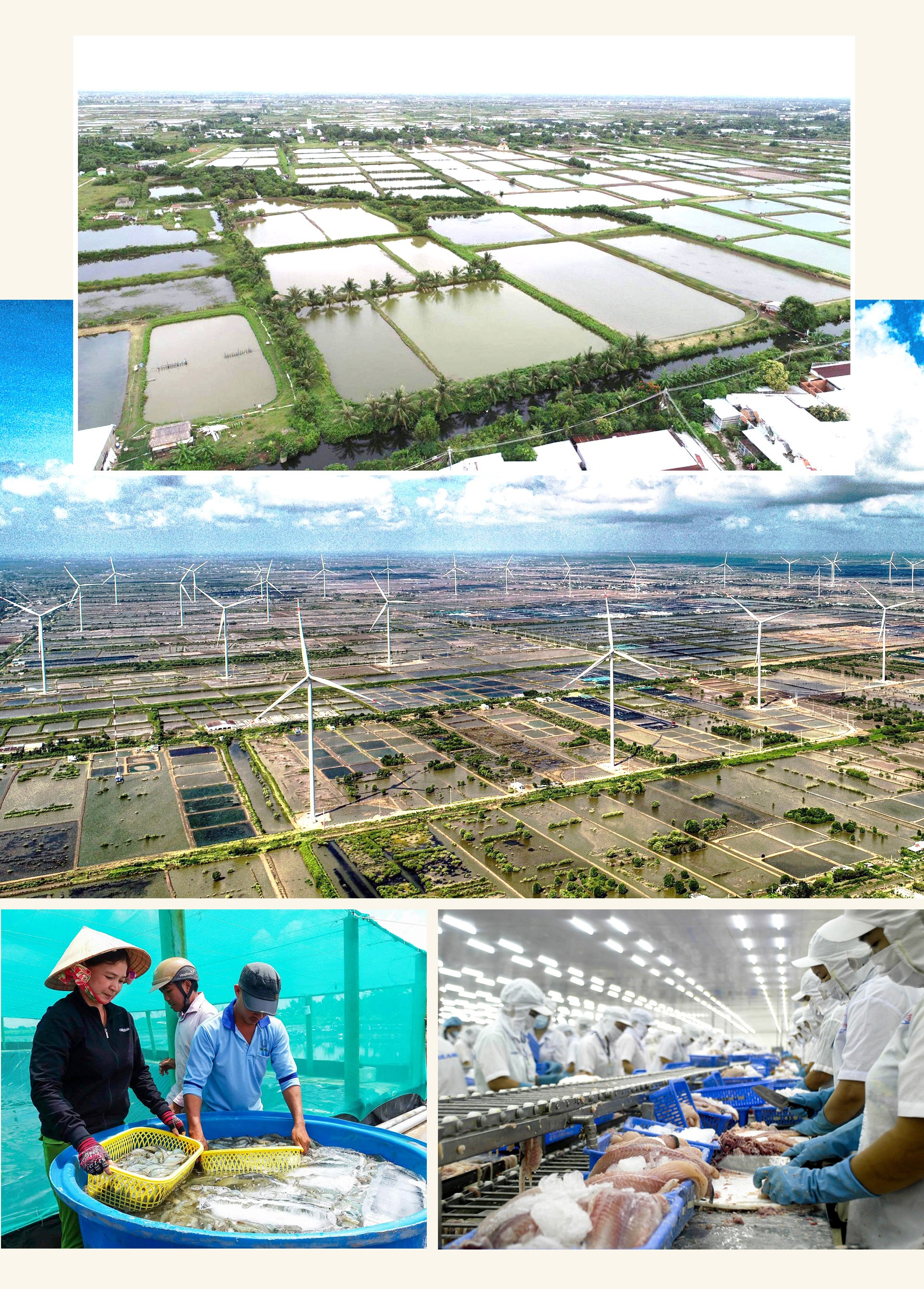 Chủ tịch Phạm Văn Thiều: Bạc Liêu với thế chân kiềng để phát triển ảnh 5