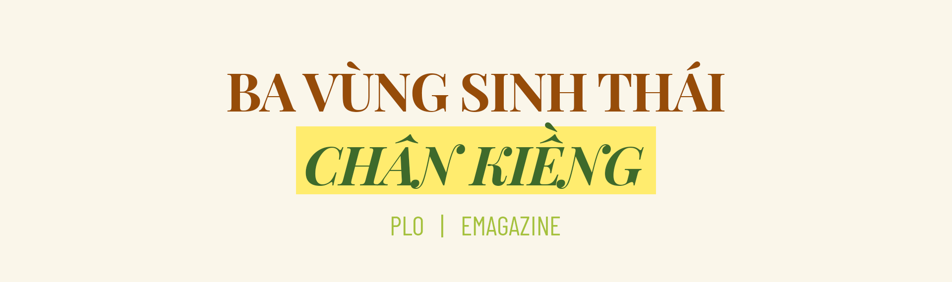 Chủ tịch Phạm Văn Thiều: Bạc Liêu với thế chân kiềng để phát triển ảnh 1