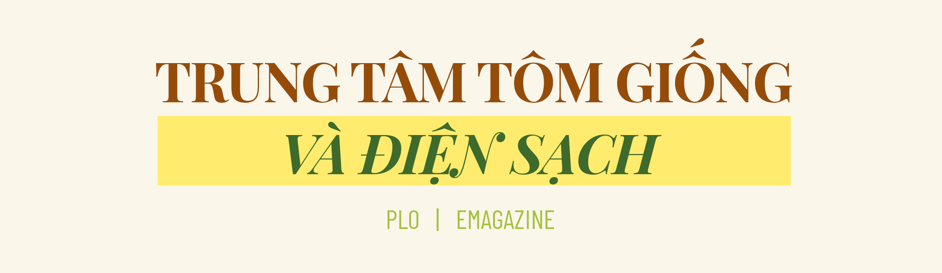 Chủ tịch Phạm Văn Thiều: Bạc Liêu với thế chân kiềng để phát triển ảnh 6