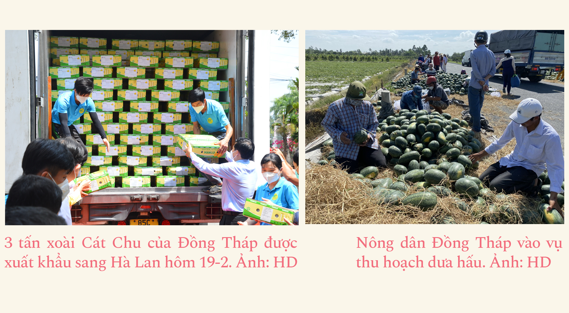 Chủ tịch UBND tỉnh Đồng Tháp: Thích ứng nhanh, nâng tầm vị thế đất Sen hồng ảnh 7