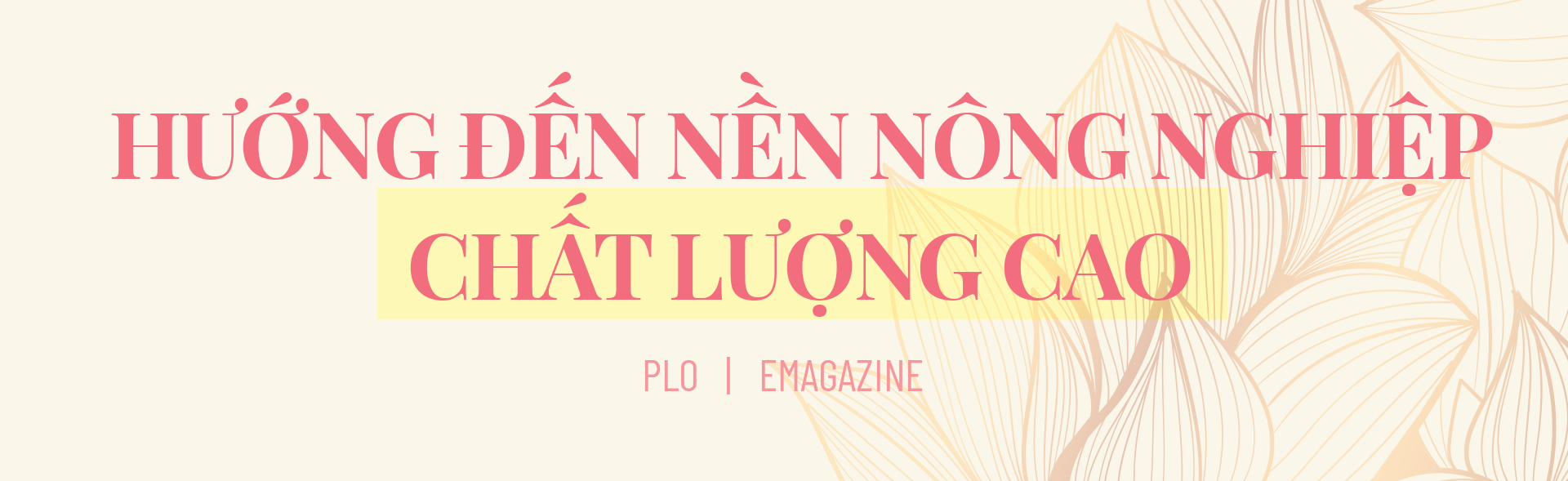 Chủ tịch UBND tỉnh Đồng Tháp: Thích ứng nhanh, nâng tầm vị thế đất Sen hồng ảnh 5