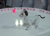 Nhiều công nghệ hướng đến tương lai xuất hiện tại Sony Show