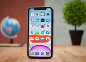 iPhone 11 giá chỉ còn 13,7 triệu đồng