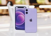 iPhone 12 màu tím bất ngờ có mặt tại Việt Nam, giảm 2,8 triệu 