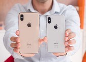 Cách kiểm tra iPhone của bạn có phải hàng tân trang hay không?