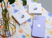 iPhone 12 series đồng loạt giảm giá 3 triệu đồng 