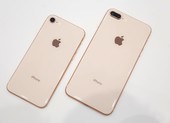 iPhone 8 Plus 64 GB giá chỉ còn 6,79 triệu đồng