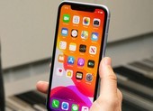 iPhone 11 Pro giảm giá sâu chỉ còn 14,4 triệu đồng