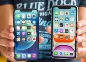 Apple sửa chữa miễn phí nếu iPhone gặp lỗi âm thanh