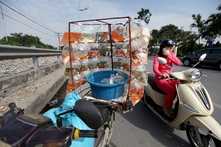 Người phụ nữ đang sử dụng điện thoại trong khi điều khiển xe máy bằng một tay trên đường Lê Duẩn.