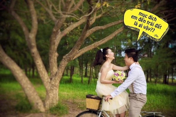 Nhập mô tả cho ảnh