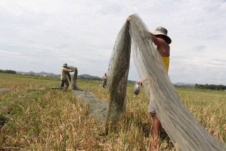Xuân Sinh