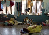 Ấn Độ: Hàng ngàn cô dâu bỏ mạng vì của hồi môn