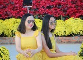 Trẩy hội trên đường hoa tết hơn 6 tỉ đồng ở Đà Nẵng