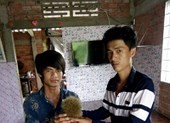 Phát hiện “cát lợn” nặng 350 gram trong bao tử heo