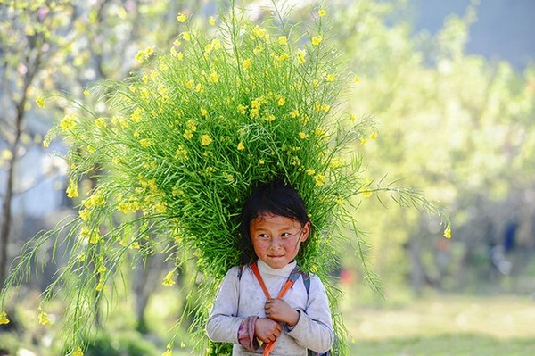 Em bé ở Sủng Là (Hà Giang)