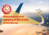 Những đường bay nào đã ngừng bay đến TP.HCM và ngược lại?