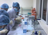 Bình Định khoanh vùng ổ dịch theo mô hình “3 lớp”