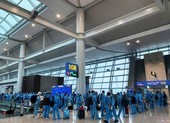 313 người Việt tại Hàn Quốc đã được đưa về nước