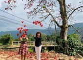 Đi tìm mùa hoa gạo bỏ quên ở núi rừng Quảng Nam