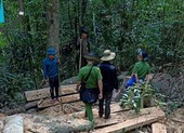 Kiểm tra hiện trường vụ phá rừng ở Gia Lai