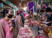 Giá heo trong nước hạ nhiệt, heo Thái Lan thất thủ