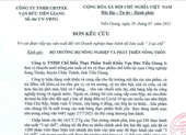 Bị ngừng sản xuất đột ngột, 1 công ty '3 tại chỗ' ở Tiền Giang kêu cứu