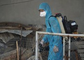 Đà Nẵng: Bệnh nhân 416 vẫn đang được điều trị