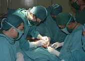 Ca chế tạo 'của quý' made in Việt Nam
