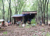 Mâu thuẫn trong khi nhậu, dùng dao đâm chết bạn