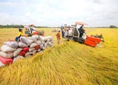 Vĩnh Long: Chi 400 tỉ đồng xây Bảo tàng nông nghiệp