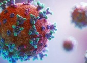 Phát hiện biến thể mới virus SARS-CoV-2 tại Việt Nam