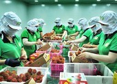 Tin vui cho hàng hóa xuất khẩu của Việt Nam sang Mỹ