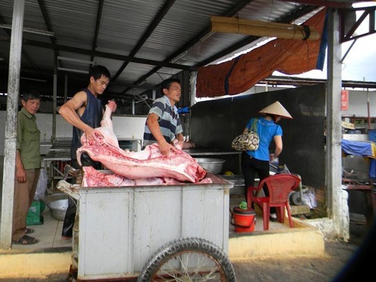 Giá thịt heo khu vực Đông Nam Bộ chưa chạm đỉnh lịch sử nhờ được bổ sung nguồn từ miền Bắc Giá thịt heo khu vực Đông Nam Bộ chưa chạm đỉnh lịch sử nhờ được bổ sung nguồn từ miền Bắc